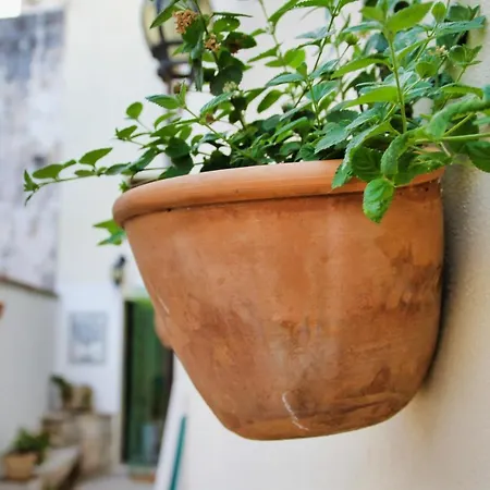 Castello Di - Splendido Bilocale Con Wifi A 5 Minuti Dal Mare * Andrano